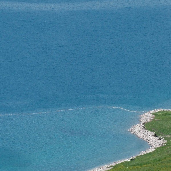 ảnh đại diện avatar zalo 2