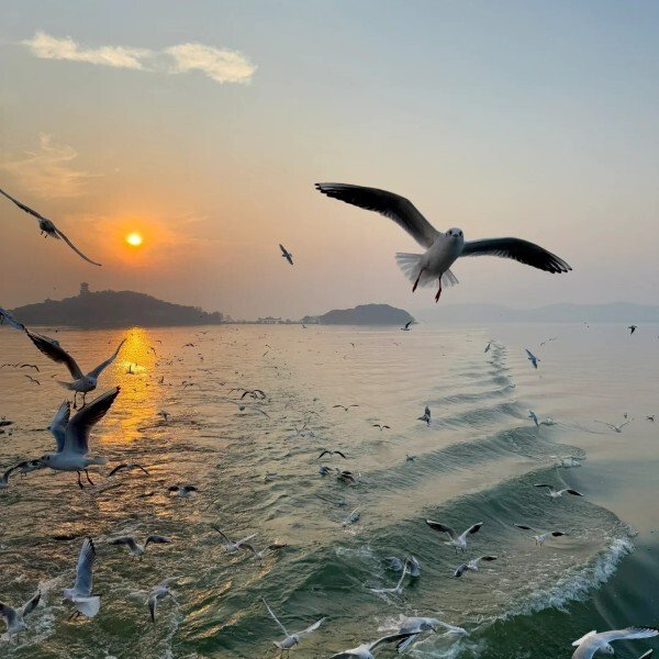 ảnh đại diện avatar zalo 32