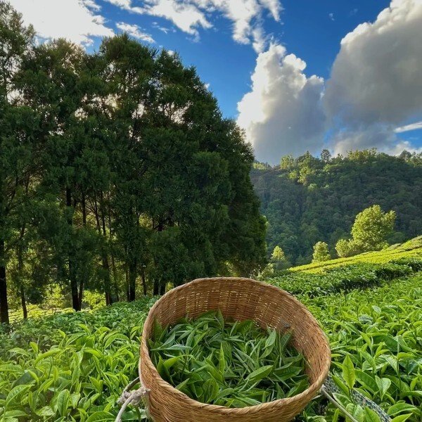 ảnh đại diện avatar zalo 34