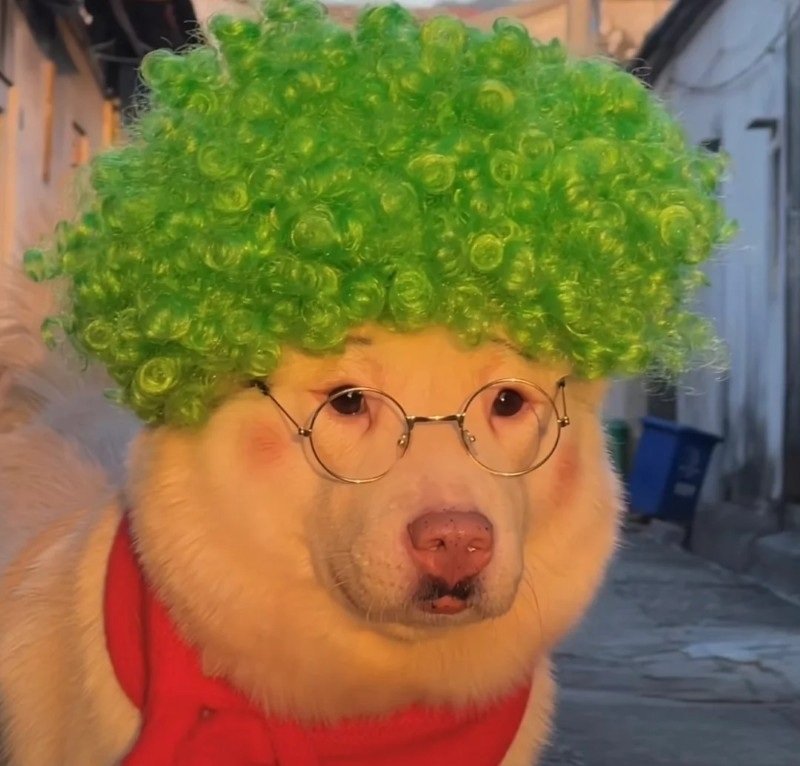 avatar 4 người bạn thân 26