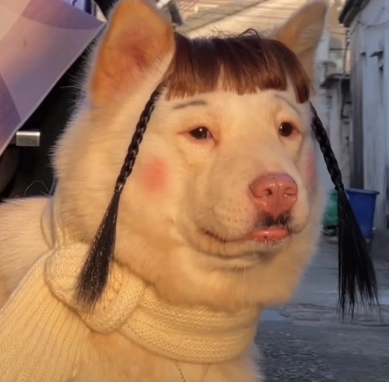 avatar 4 người bạn thân 27