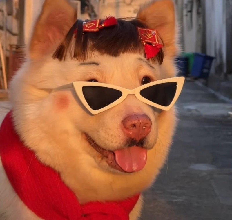 avatar 4 người bạn thân 28