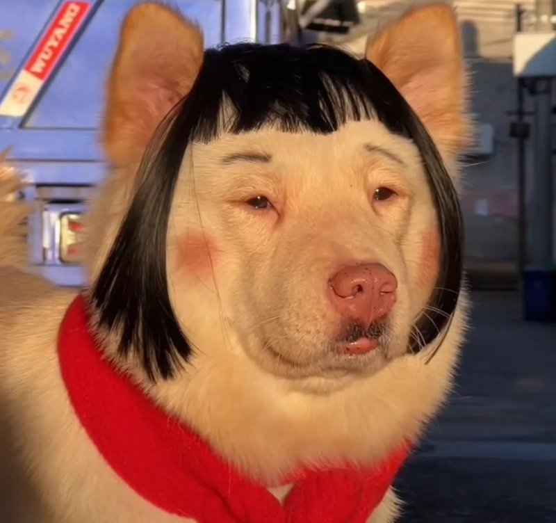 avatar 4 người bạn thân 29