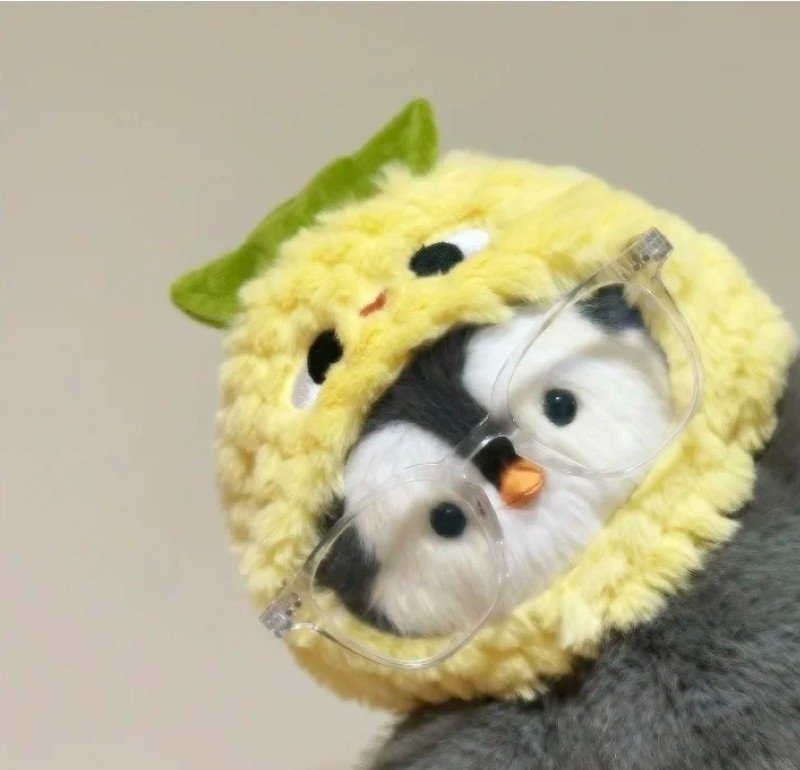 avatar 4 người bạn thân 34