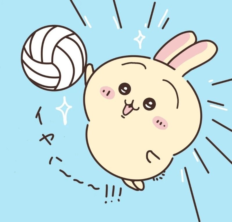 avatar bóng chuyền 16