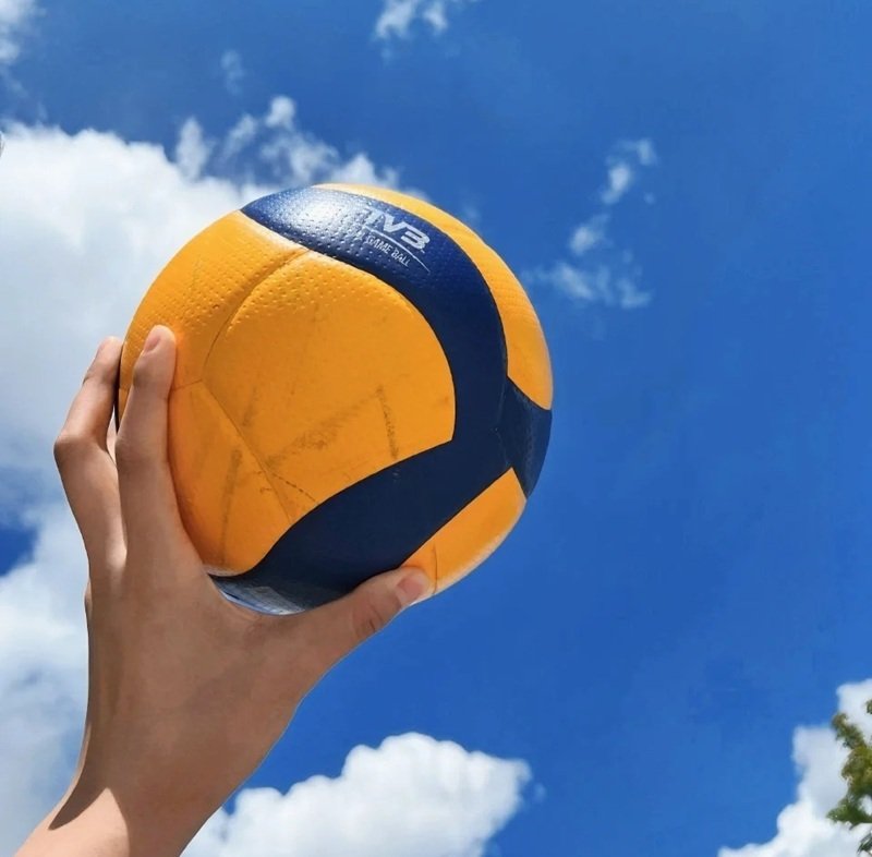 avatar bóng chuyền 9