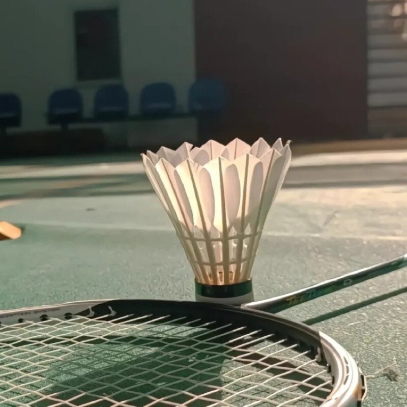 avatar cầu lông 10