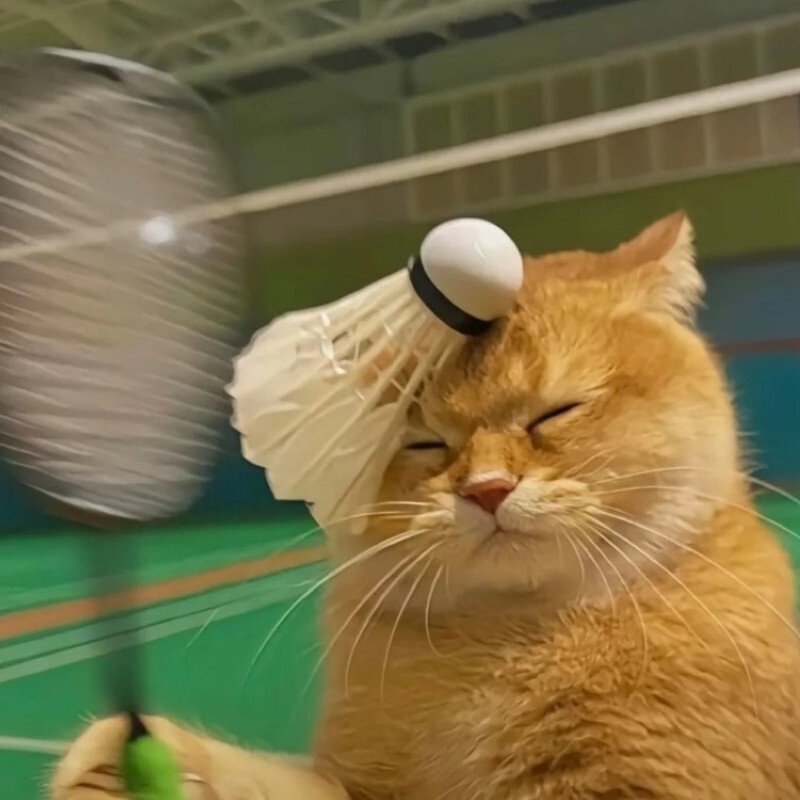 avatar cầu lông 34