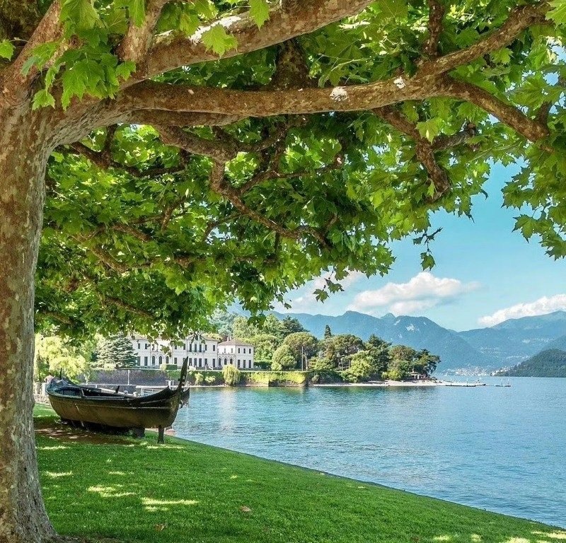 avatar chill phong cảnh 12