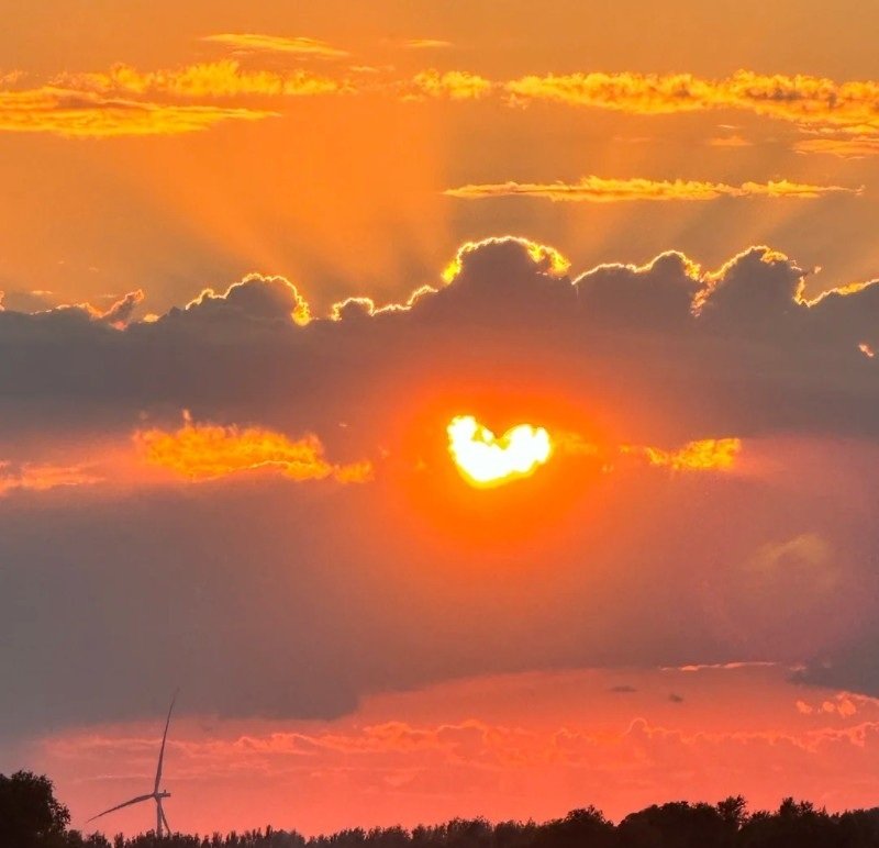 avatar chill phong cảnh 15