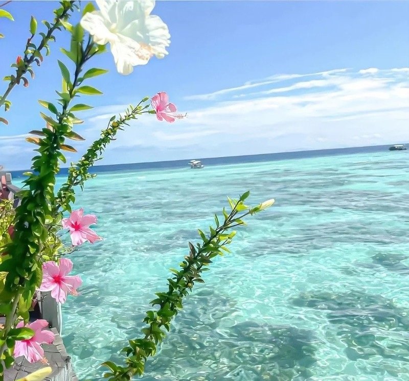 avatar chill phong cảnh 33