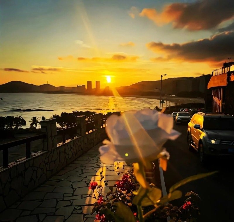 avatar chill phong cảnh 39