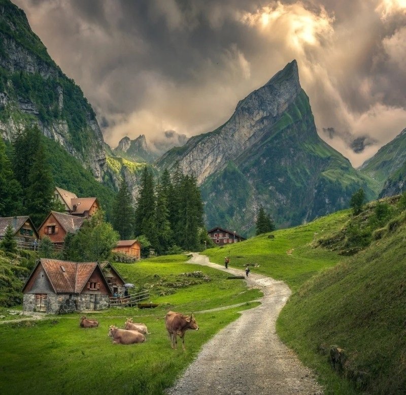 avatar chill phong cảnh 4