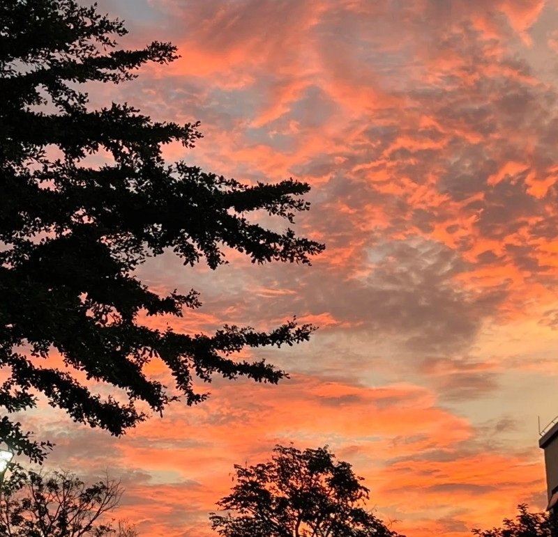 avatar chill phong cảnh 41