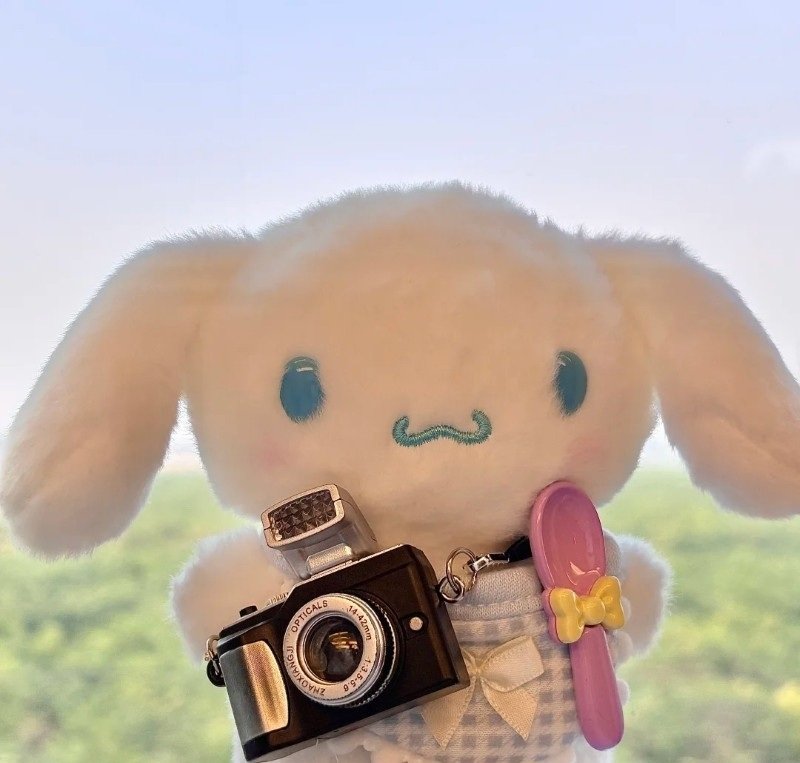 avatar cinnamoroll 31