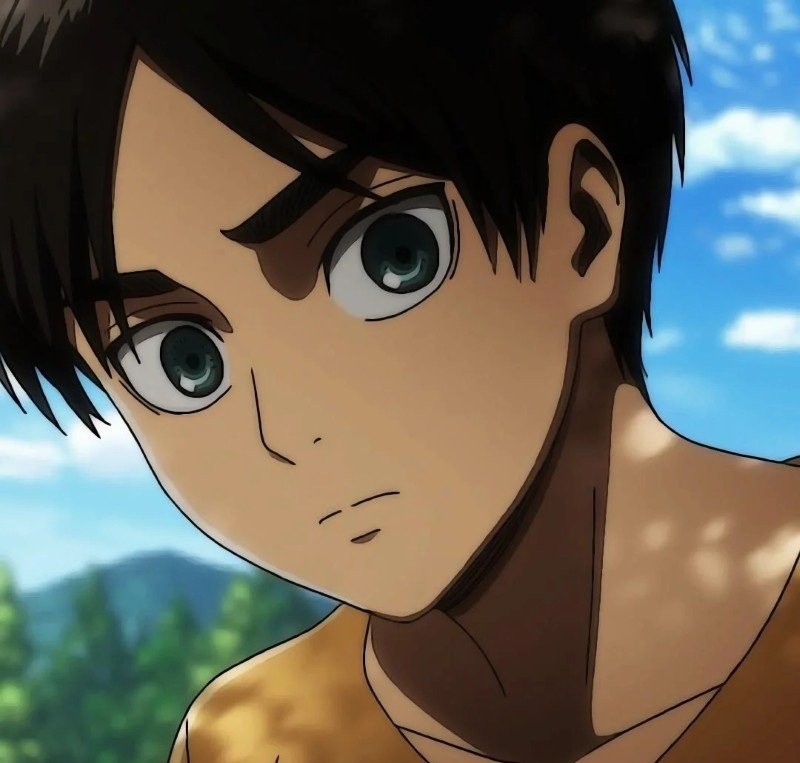 avatar eren 20