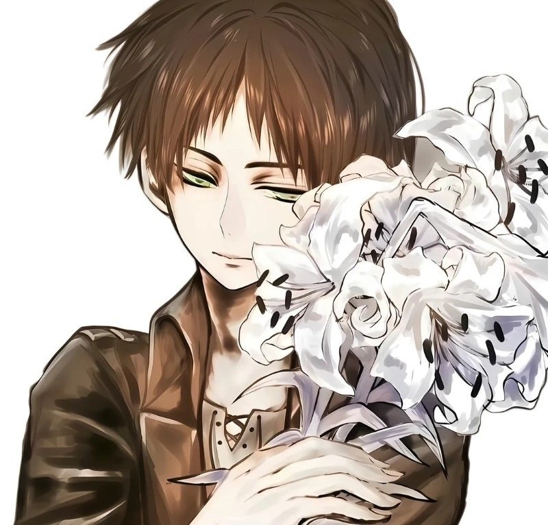 avatar eren 33