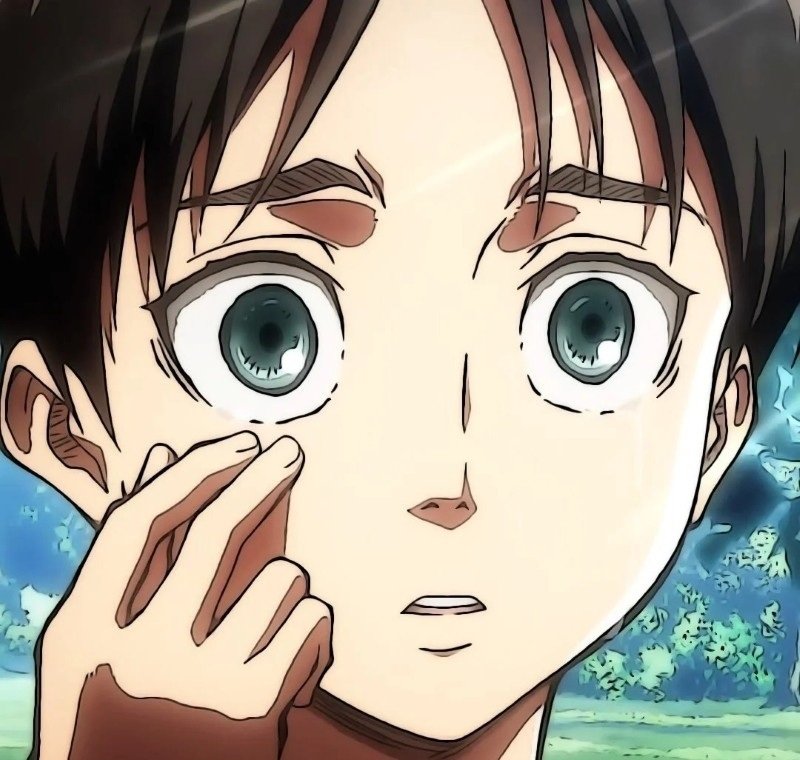 avatar eren 40
