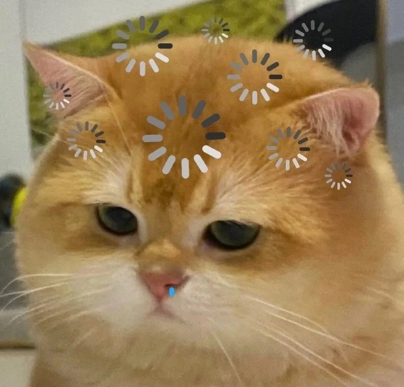 avatar fb mặc định 11