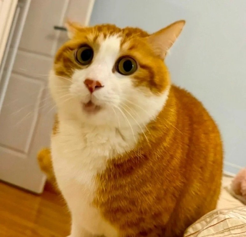 avatar fb mặc định 12