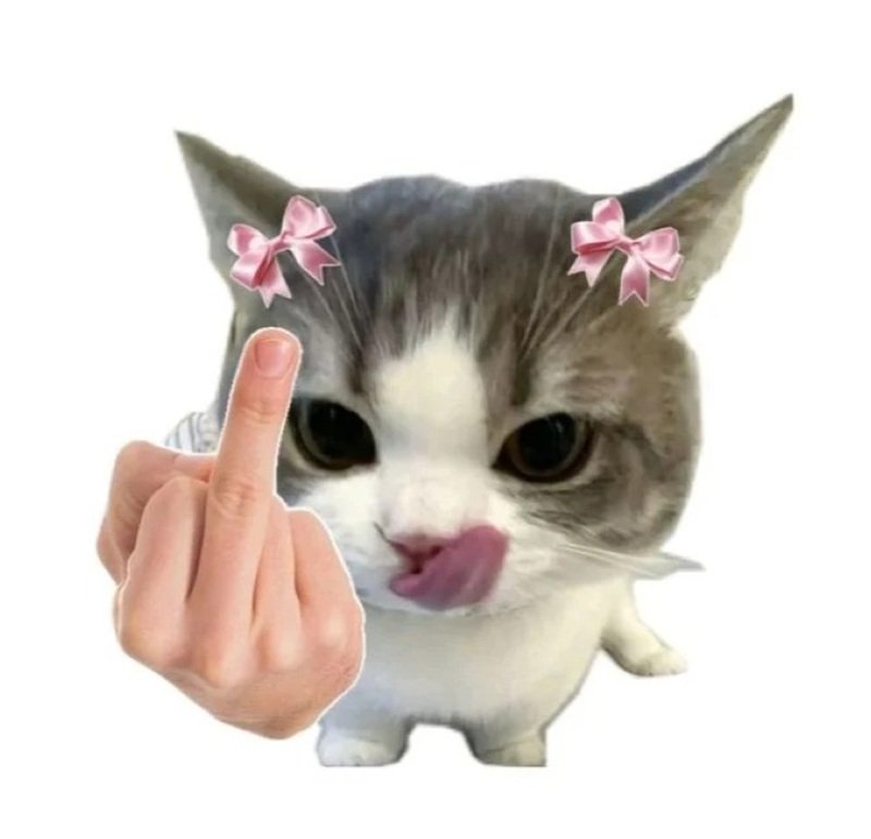 avatar fb mặc định 24