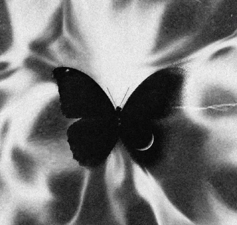 avatar fb mặc định đẹp