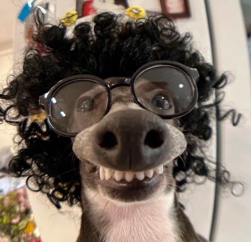 avatar fb vô tri 11