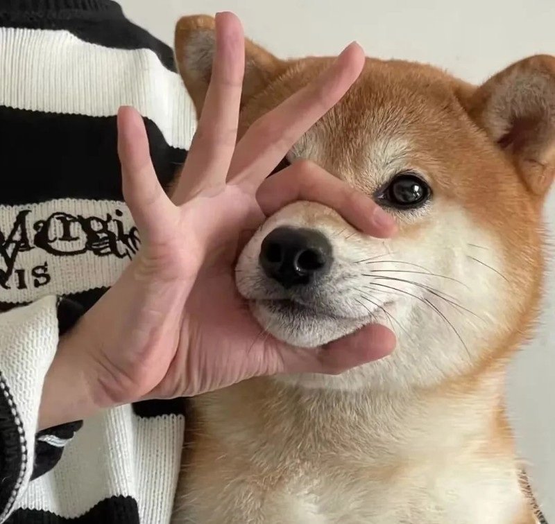 avatar fb vô tri 22