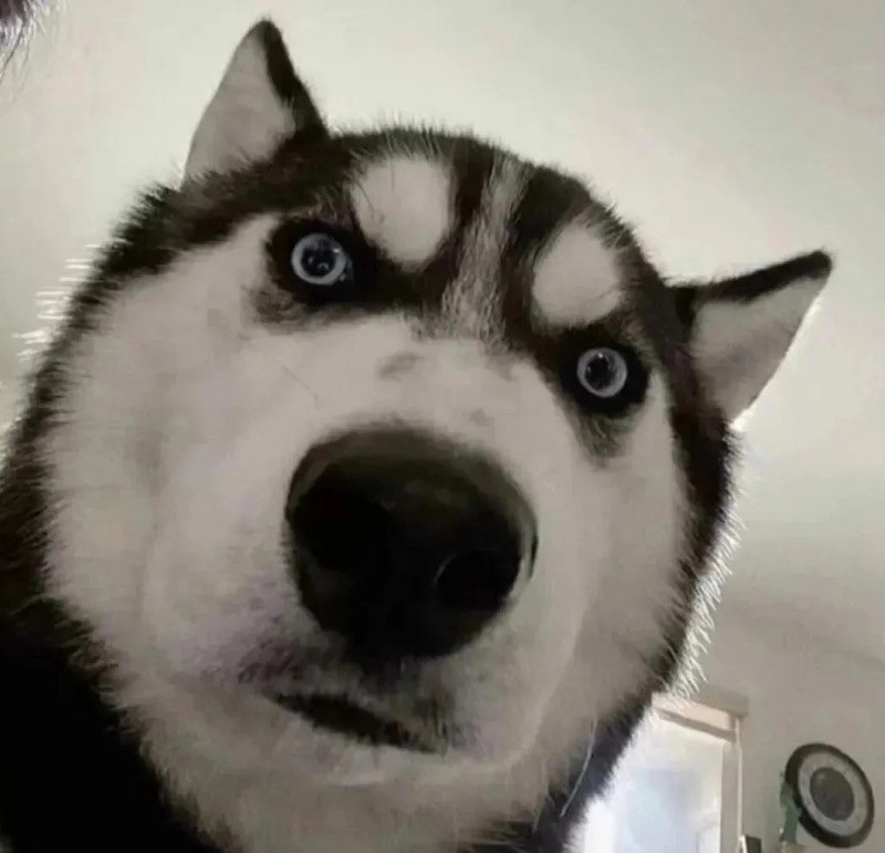 avatar fb vô tri 23