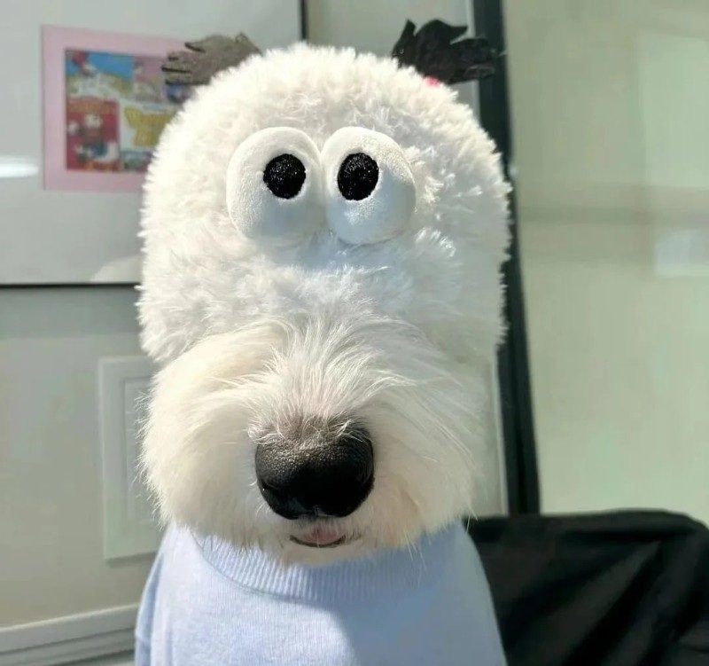 avatar gấu bông 11