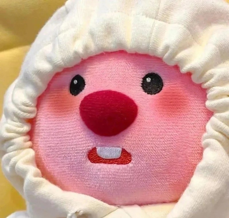 avatar gấu bông 14