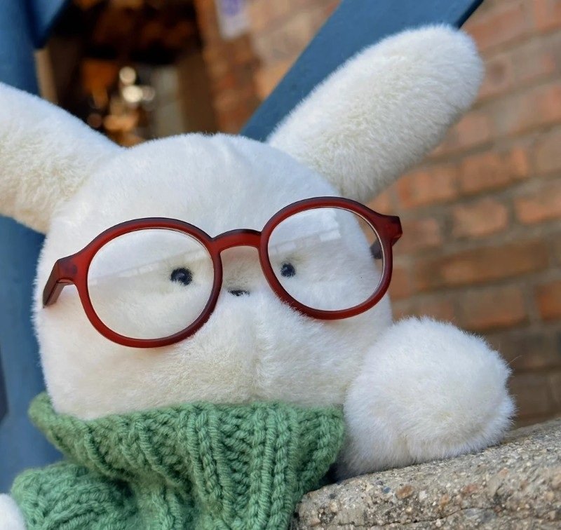 avatar gấu bông 19