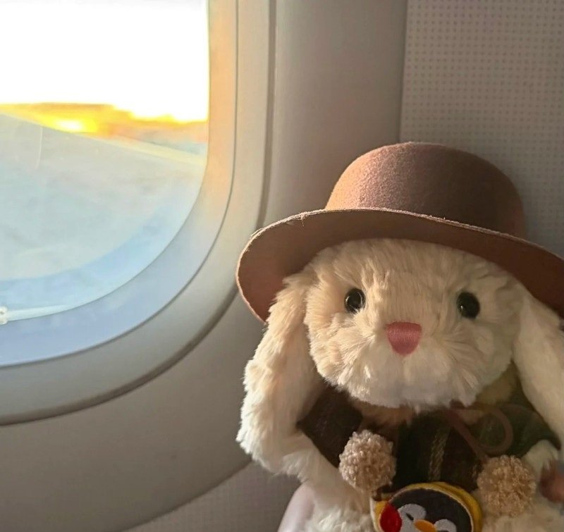 avatar gấu bông 30