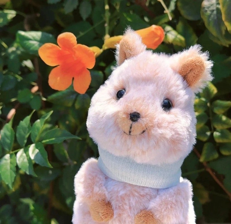 avatar gấu bông 31