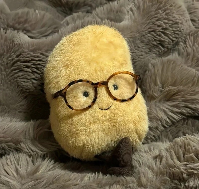 avatar gấu bông 34