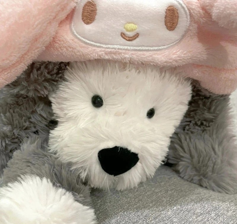 avatar gấu bông 35