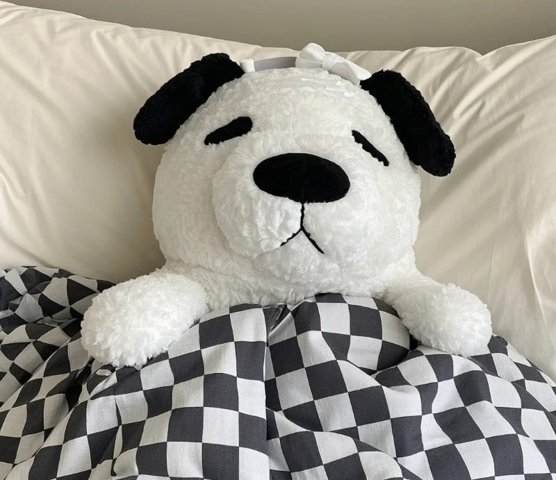 avatar gấu bông 41