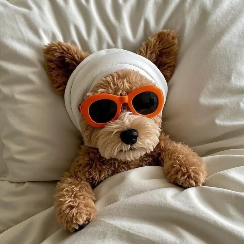 avatar hài hước 2