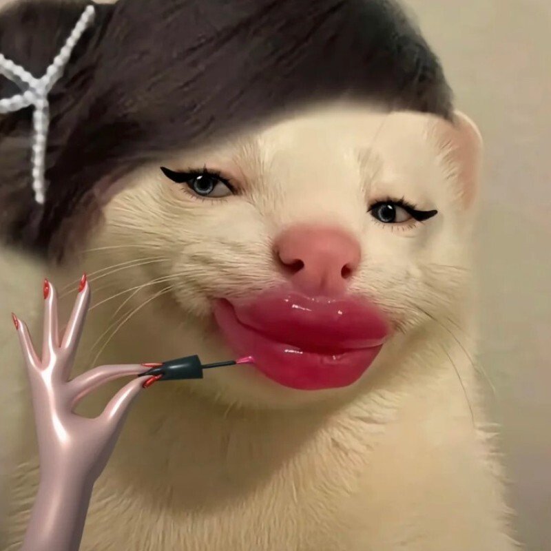 avatar hài hước 9