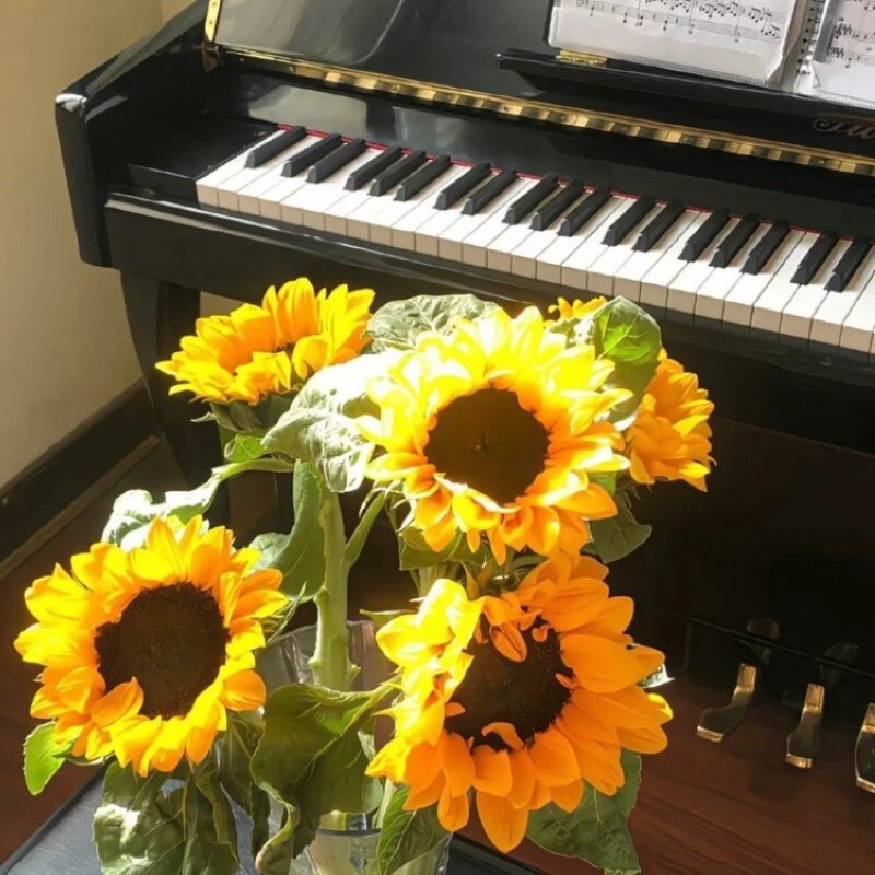 Sưu tầm 99+ bộ ảnh avatar hoa hướng dương đẹp, rực rỡ - Hình ảnh bài viết