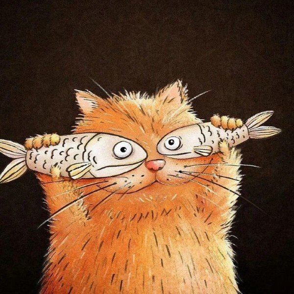 avatar mèo ngáo 26