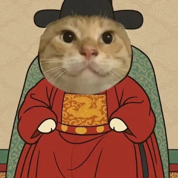 avatar mèo ngáo 27