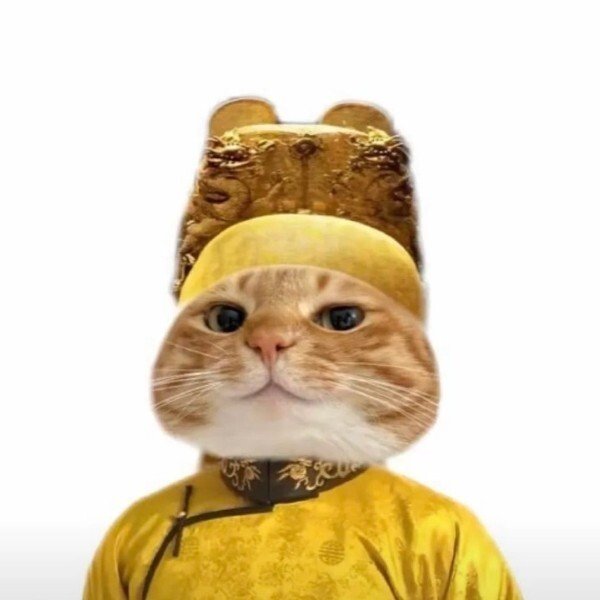 avatar mèo ngáo 32