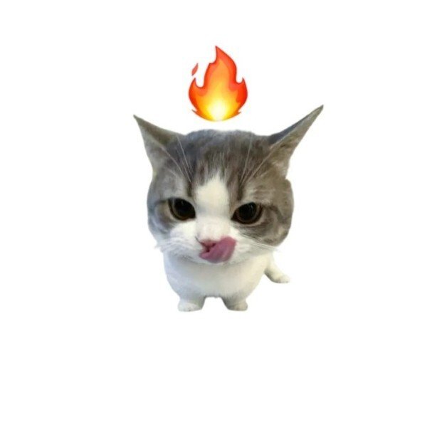 avatar mèo ngáo 38