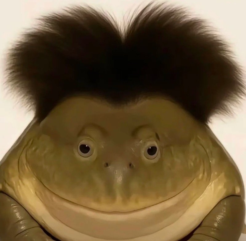 avatar nhóm 5 người vô tri 15