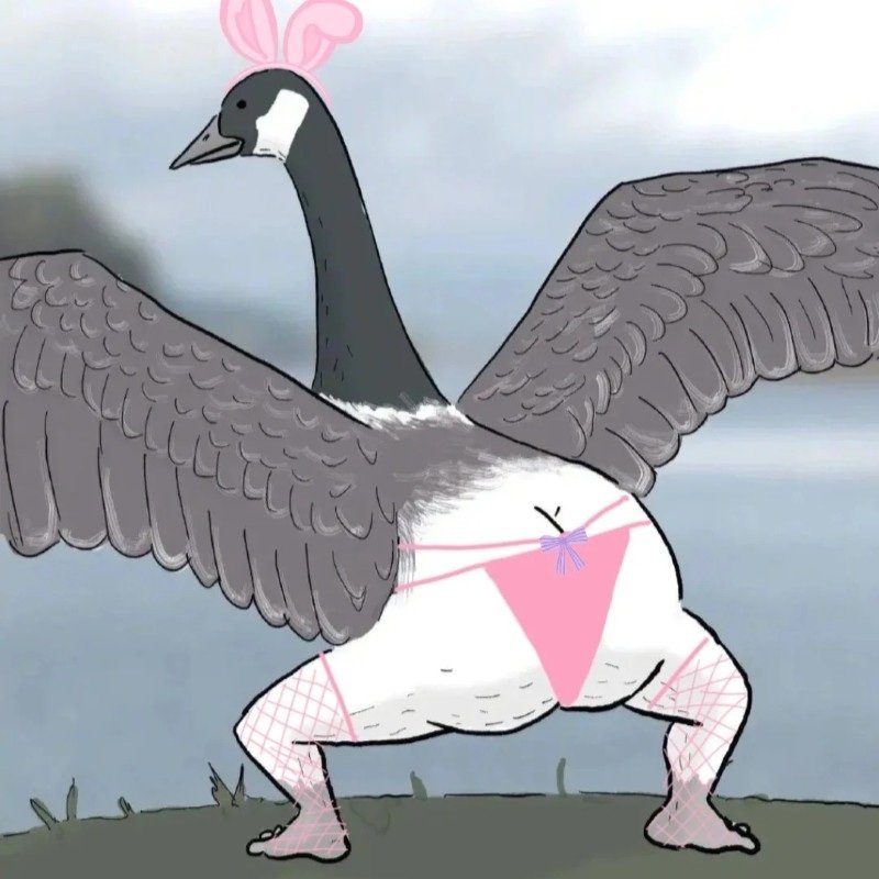 avatar nhóm 5 người vô tri 37