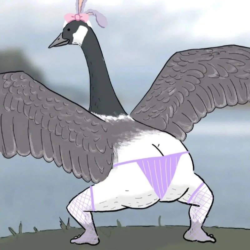 avatar nhóm 5 người vô tri 38