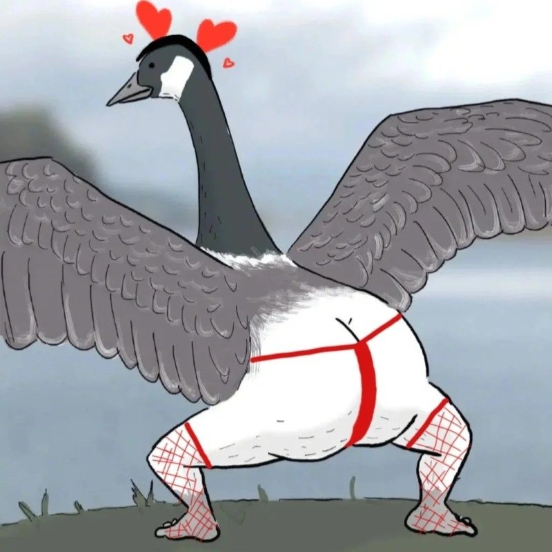 avatar nhóm 5 người vô tri 39