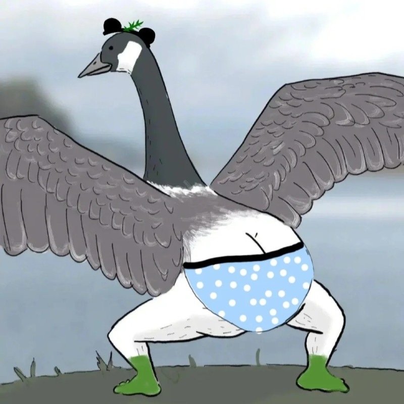 avatar nhóm 5 người vô tri 40