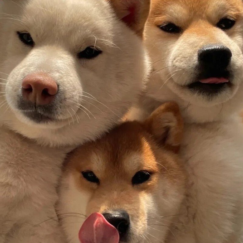 avatar nhóm chất ngầu 18